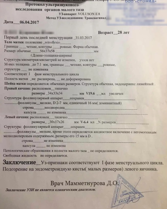 заключение узи